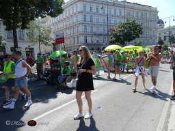 Regenbogenparade 2024